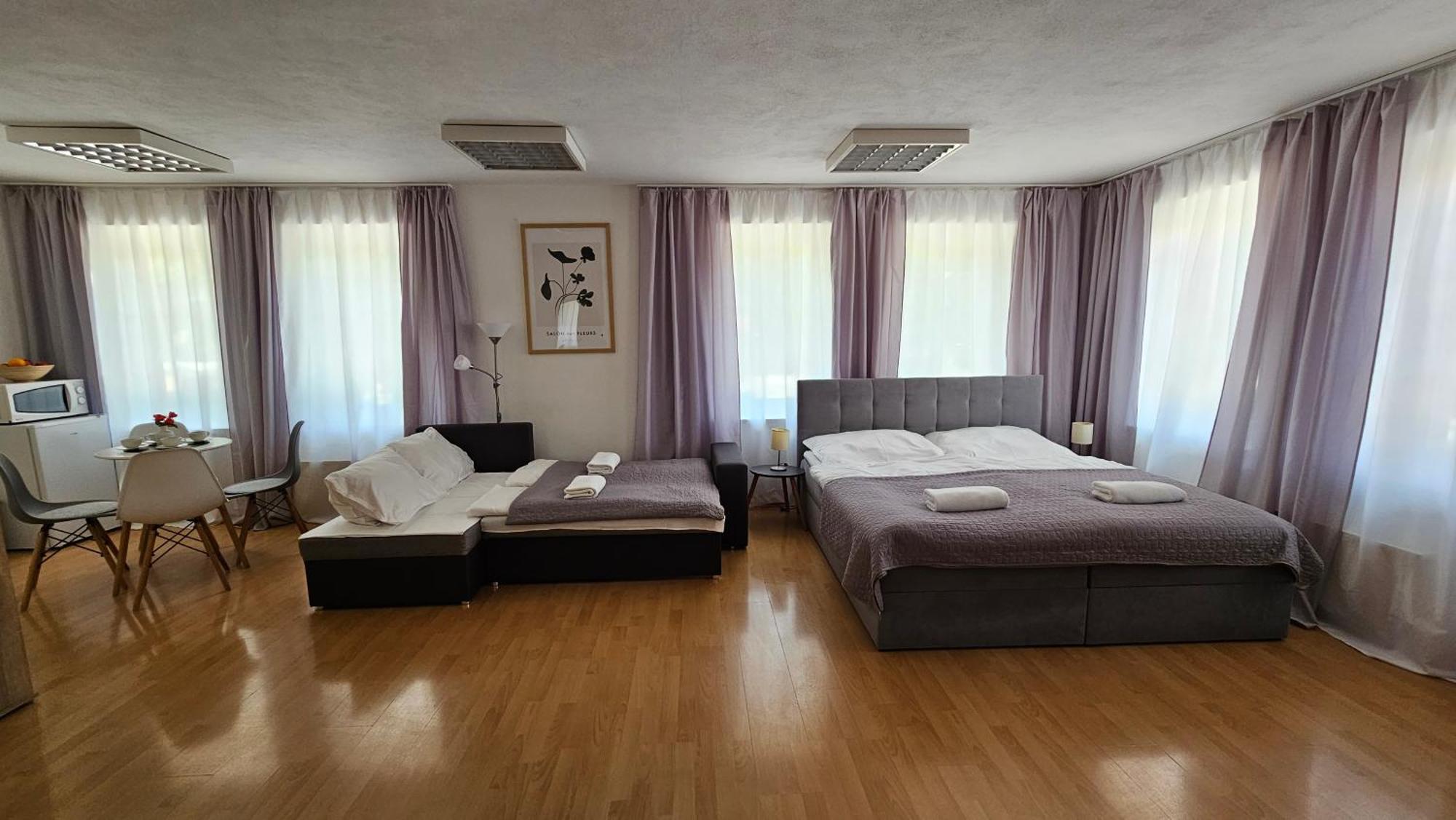 Apartmany V Zlatej Ulicke 보이니체 외부 사진