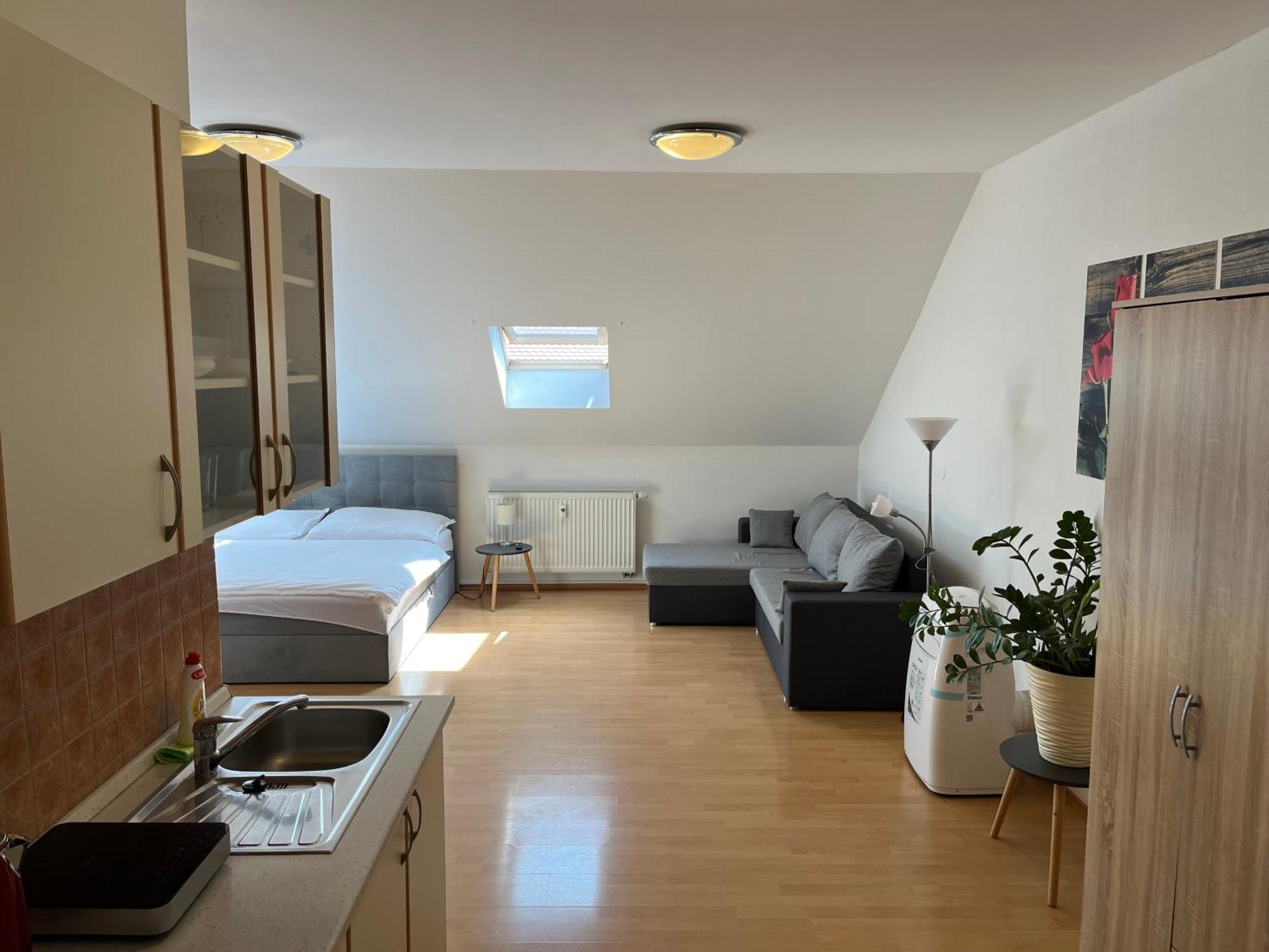 Apartmany V Zlatej Ulicke 보이니체 외부 사진